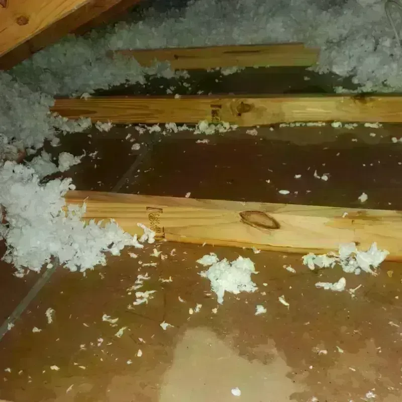 Attic Water Damage in Long Lake, IL