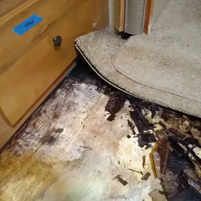 Wood Floor Water Damage in Long Lake, IL